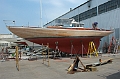 Topsides Wooded